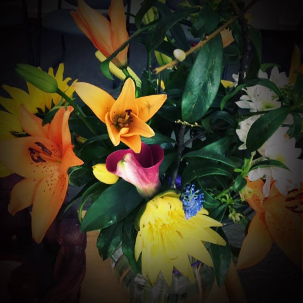 Meet your Posher, Dee